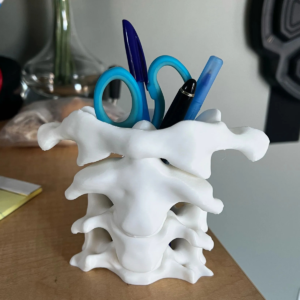 Porte-stylos Vertèbre Cervicale – Design Anatomique