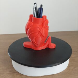 Vase Cœur Anatomique 3D – Pot à Crayons | Déco & Cadeau Médical
